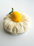 Entremets Citron Coussin Plissé