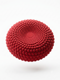 Entremets Perles